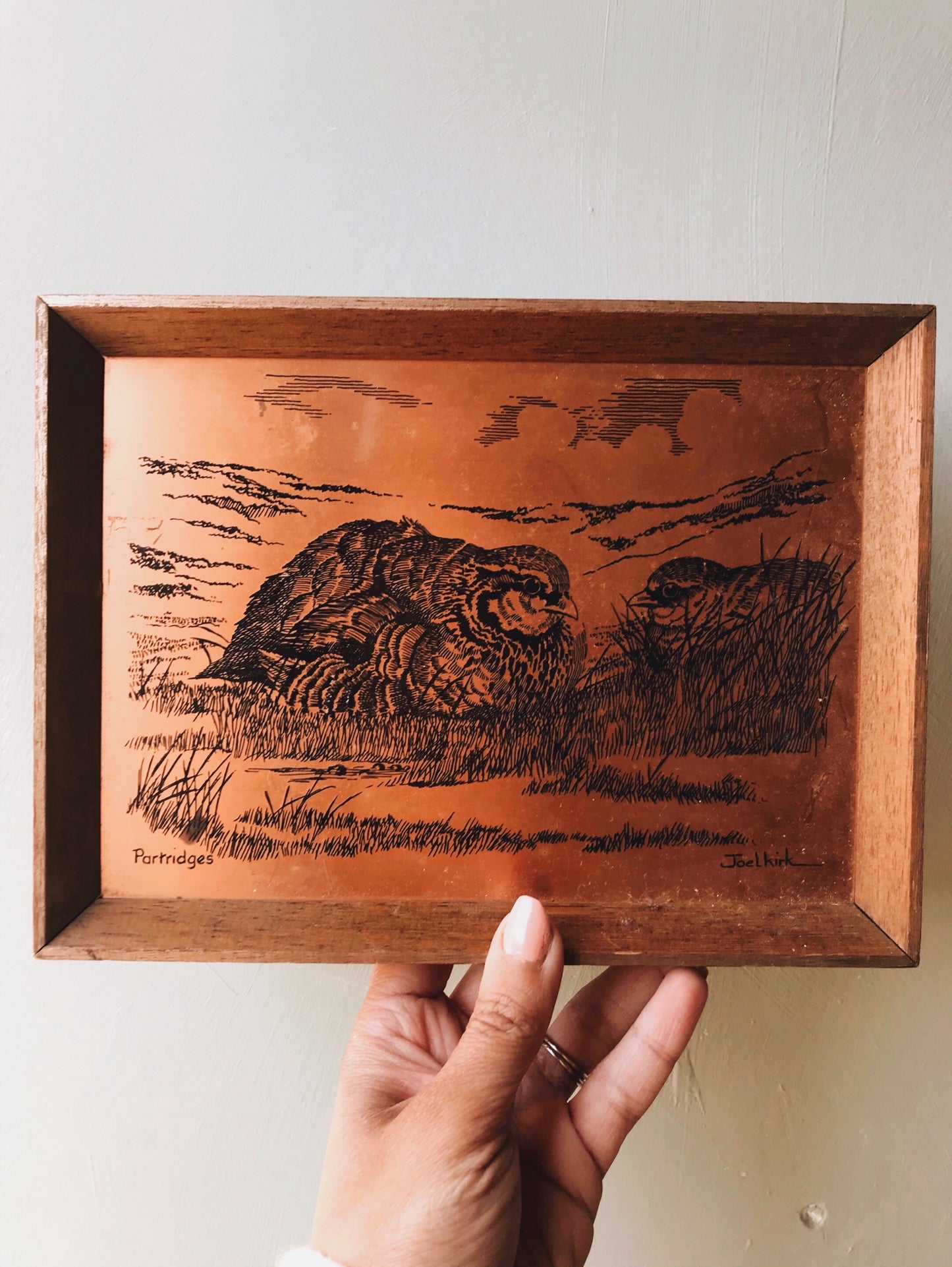 Vintage Partridges Copper Etching - Stone & Sage