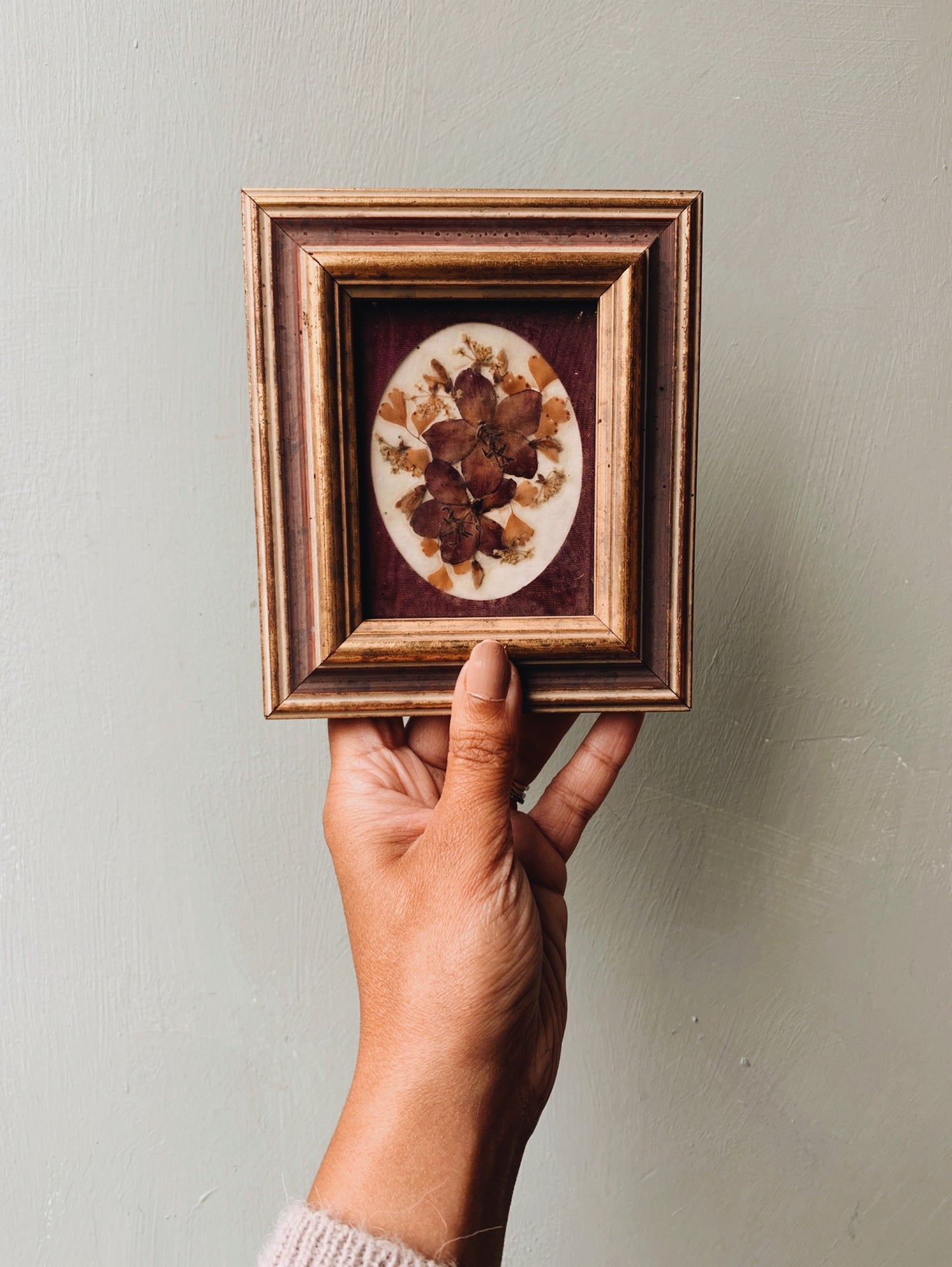 Antique Pressed Dried Blooms Framed