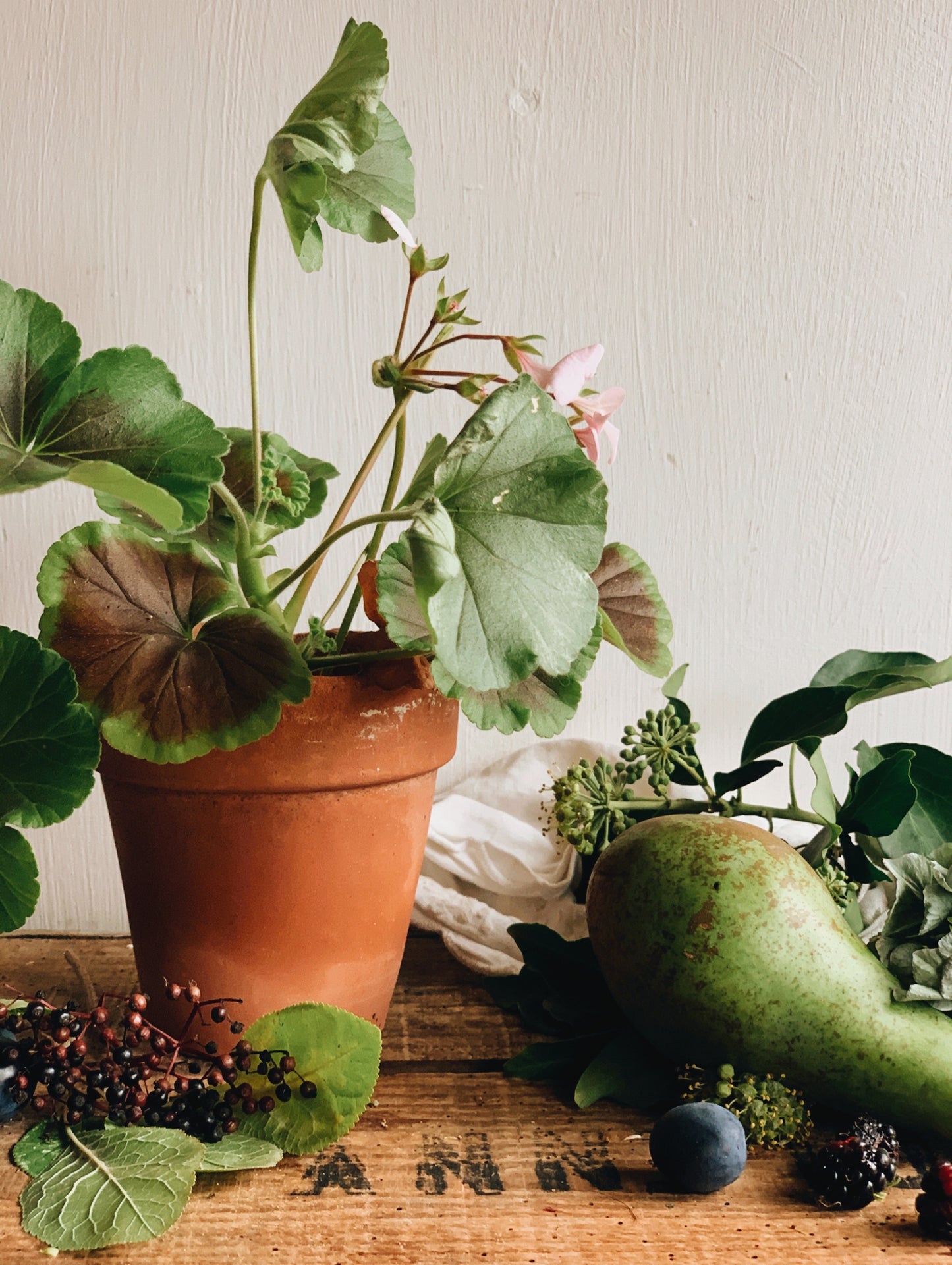 Antique Medium Terracotta Pot