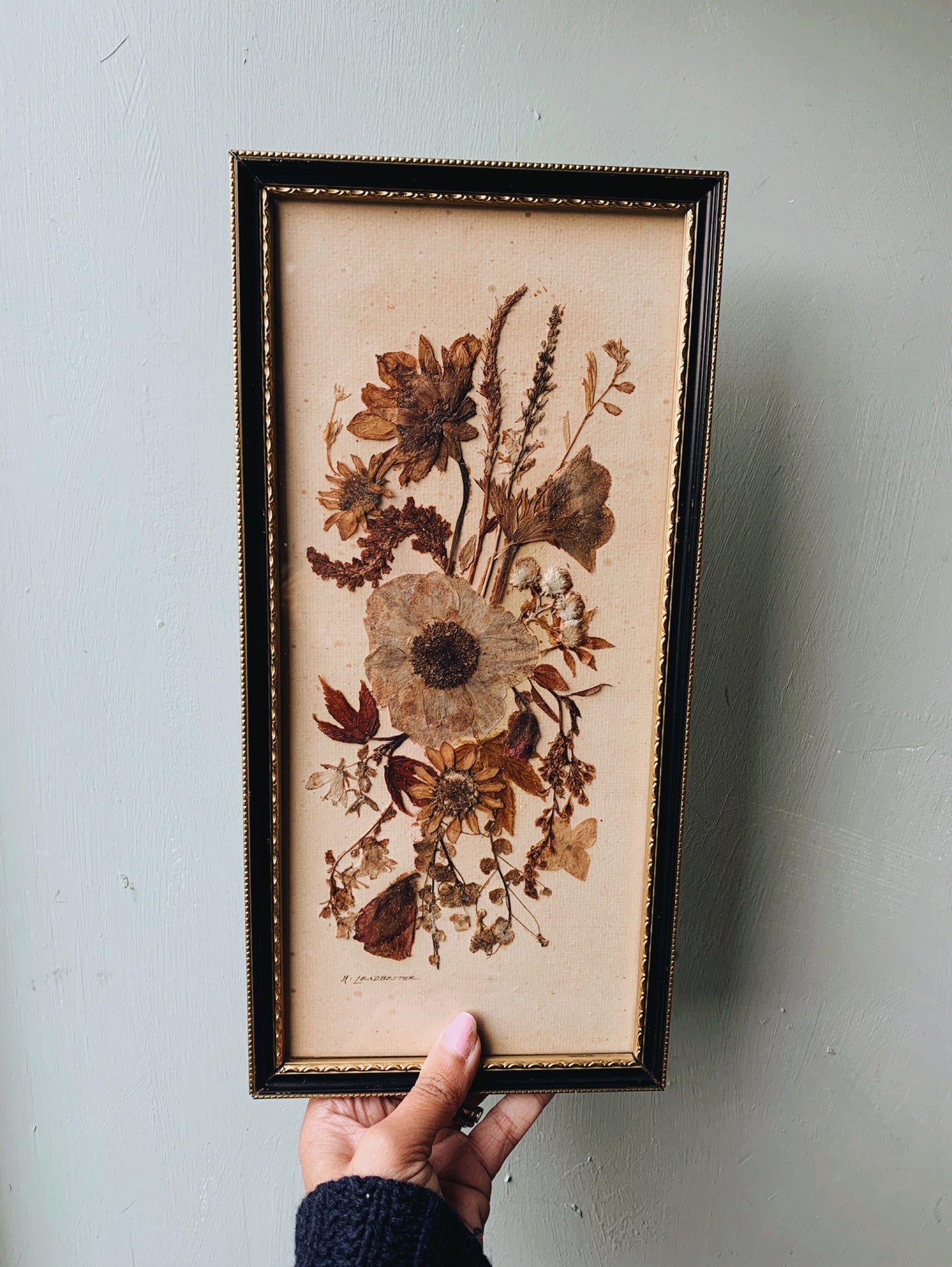 Antique Pressed Dried Flowers Framed