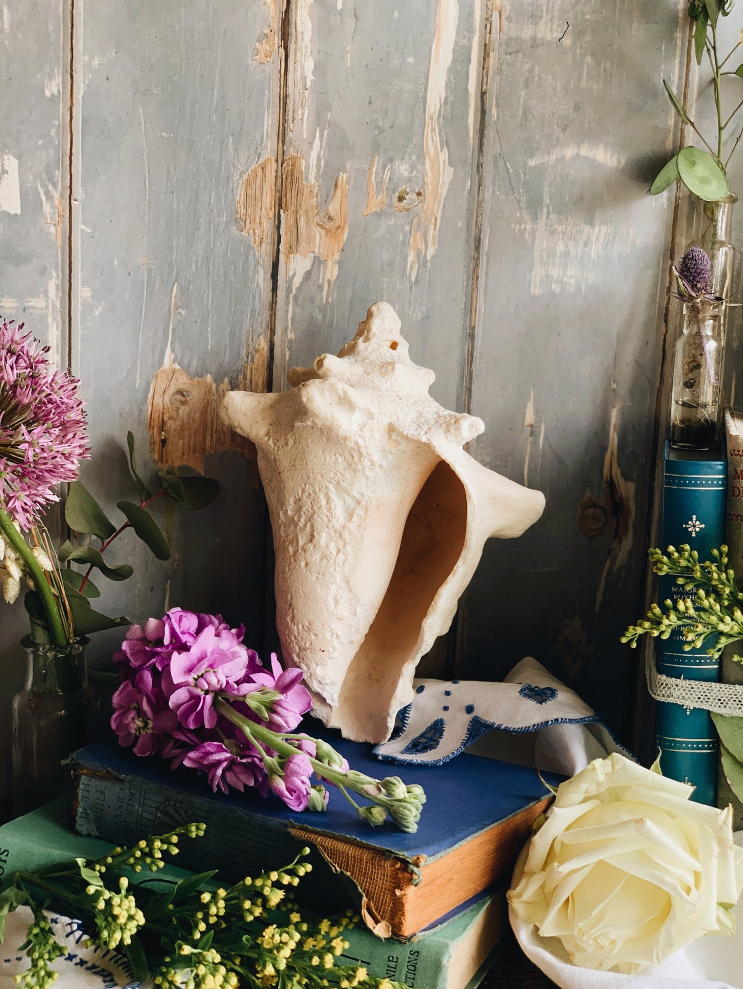 Large Vintage Shell