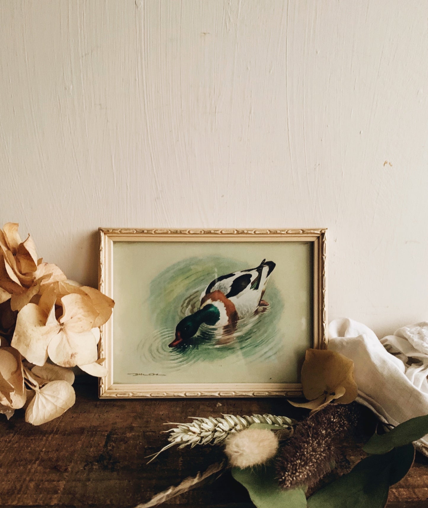 Vintage Duck Print Framed