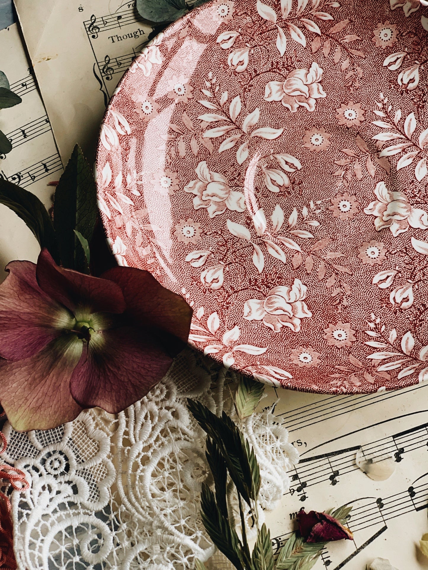 Royal Tudor Pink Transfer Large Saucer