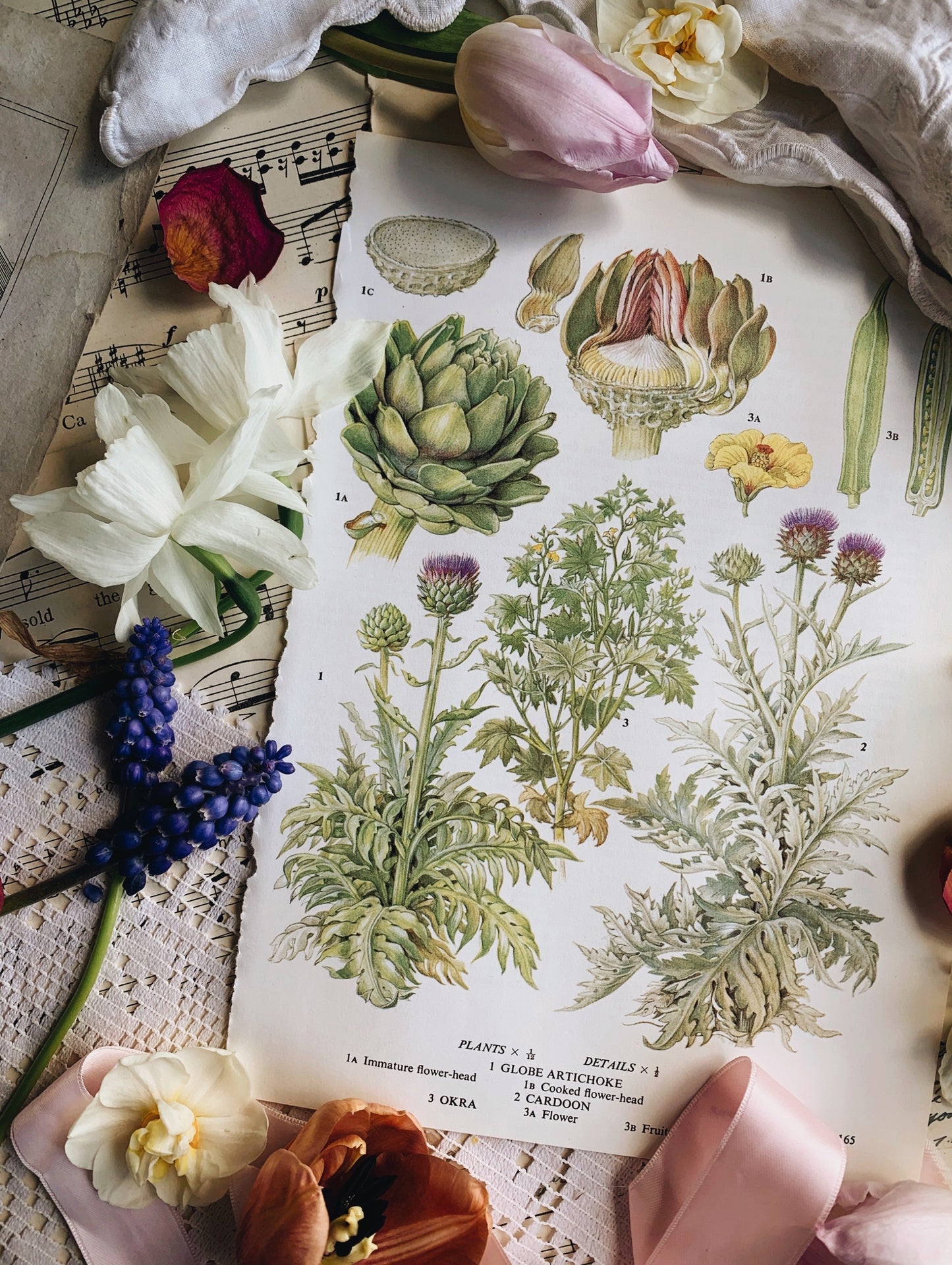 Vintage 1960’s Artichoke Bookplate