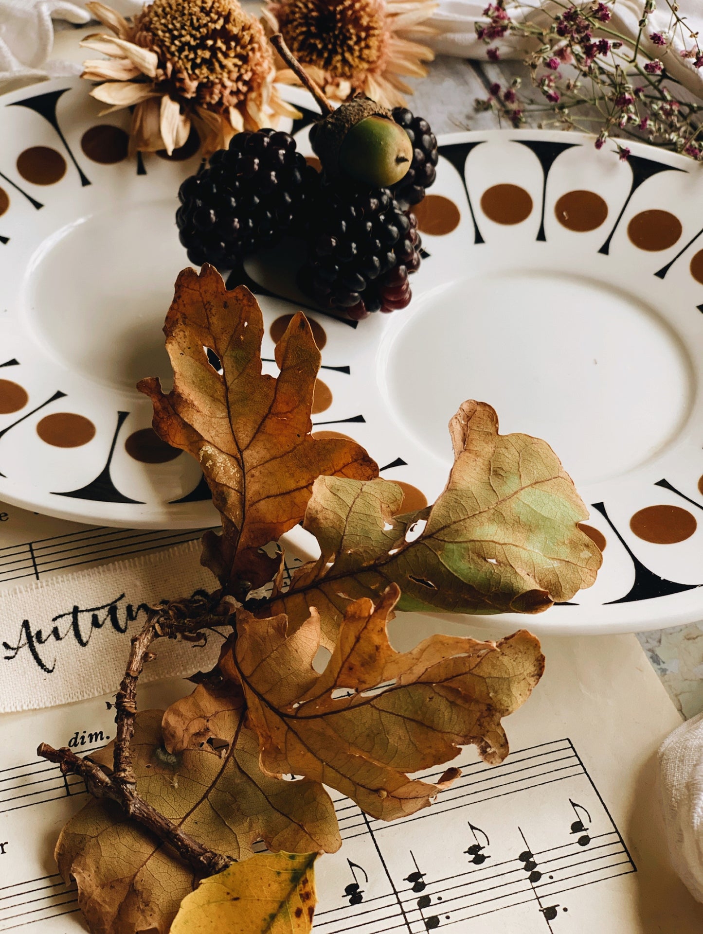 Vintage (retro) Black Velvet Transfer-ware Saucers & Side Plates (sold separately)