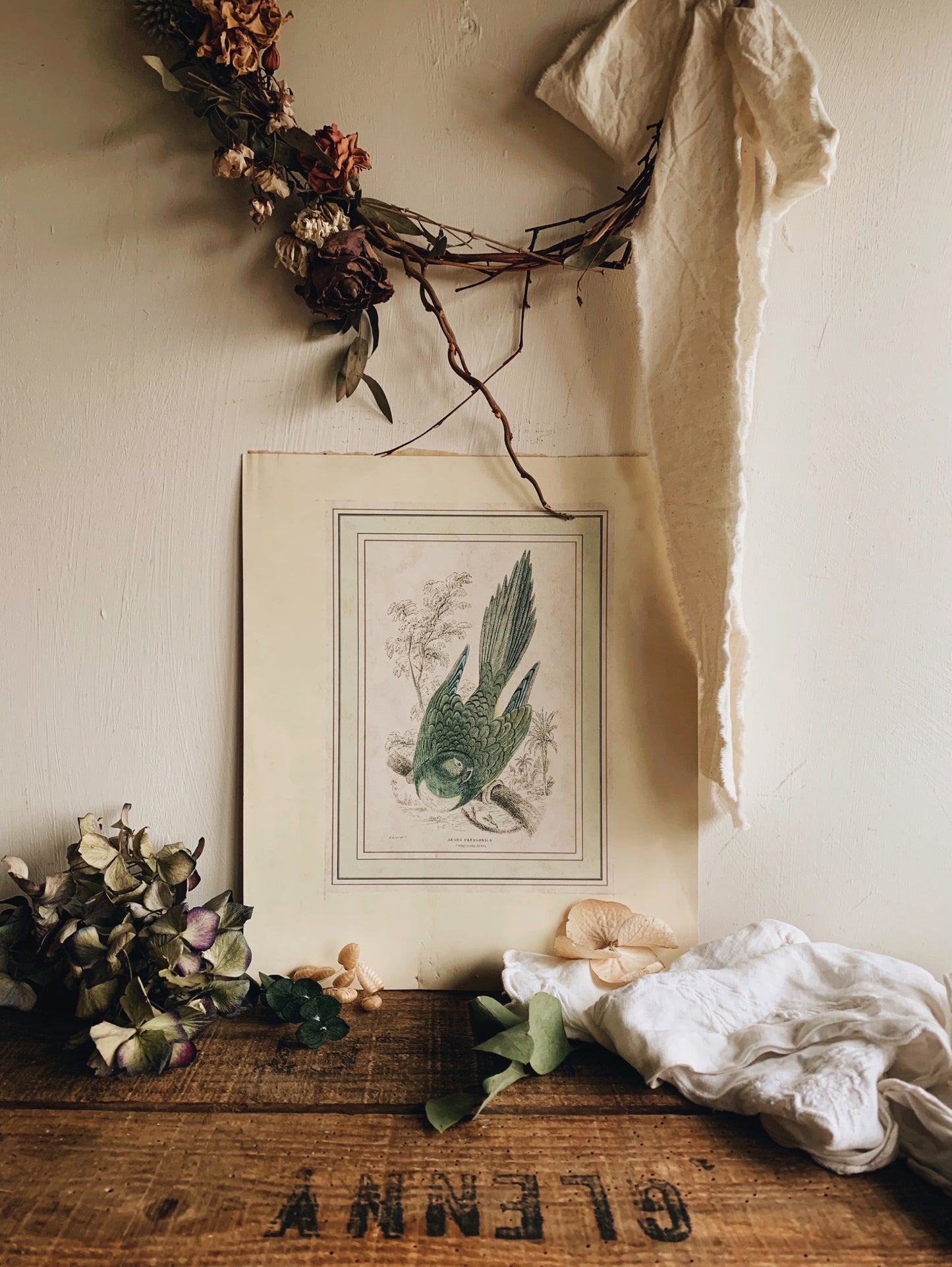 Antique Bird Print
