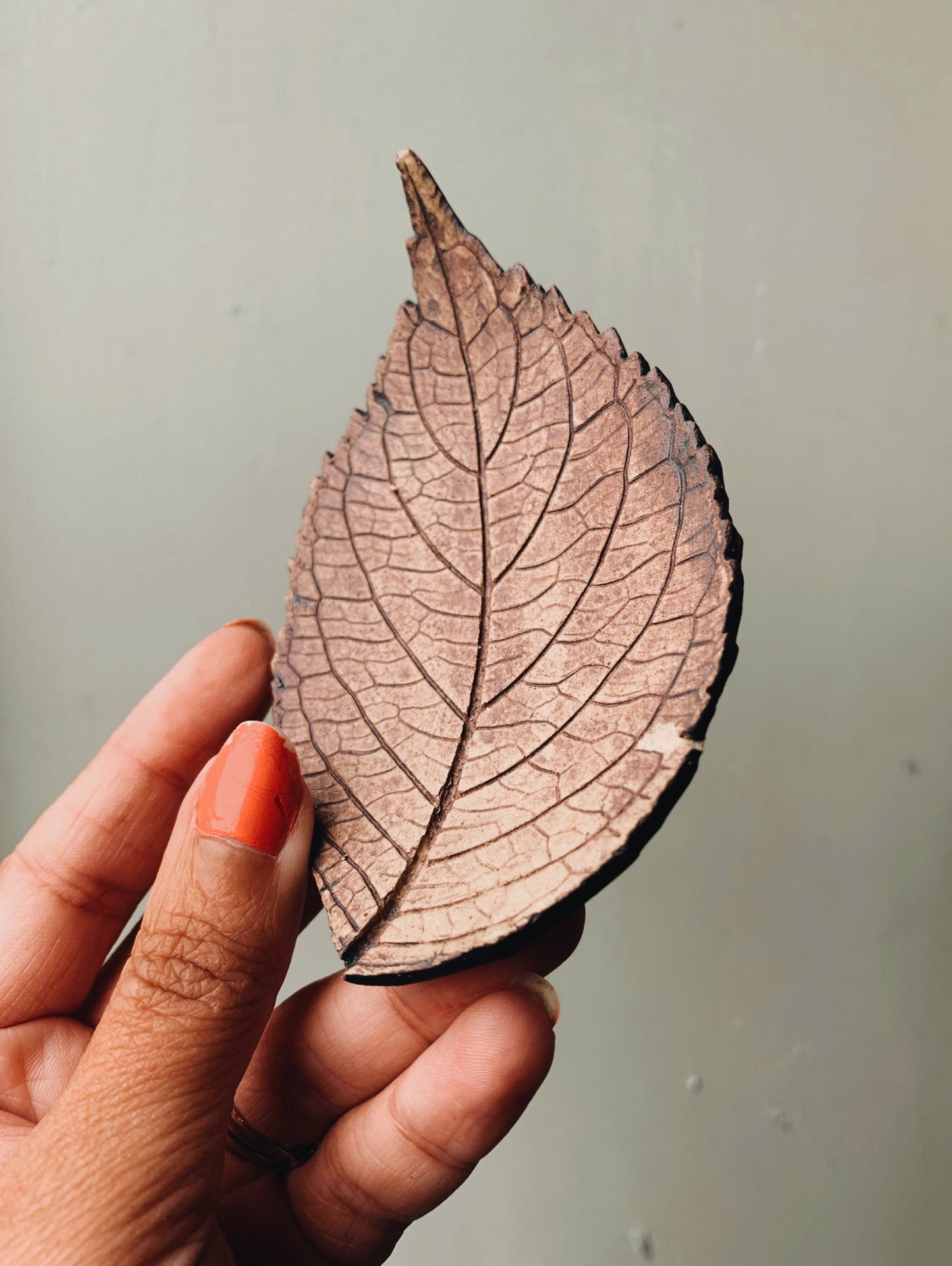 A Pair of Ceramic Leaf Print Dishes