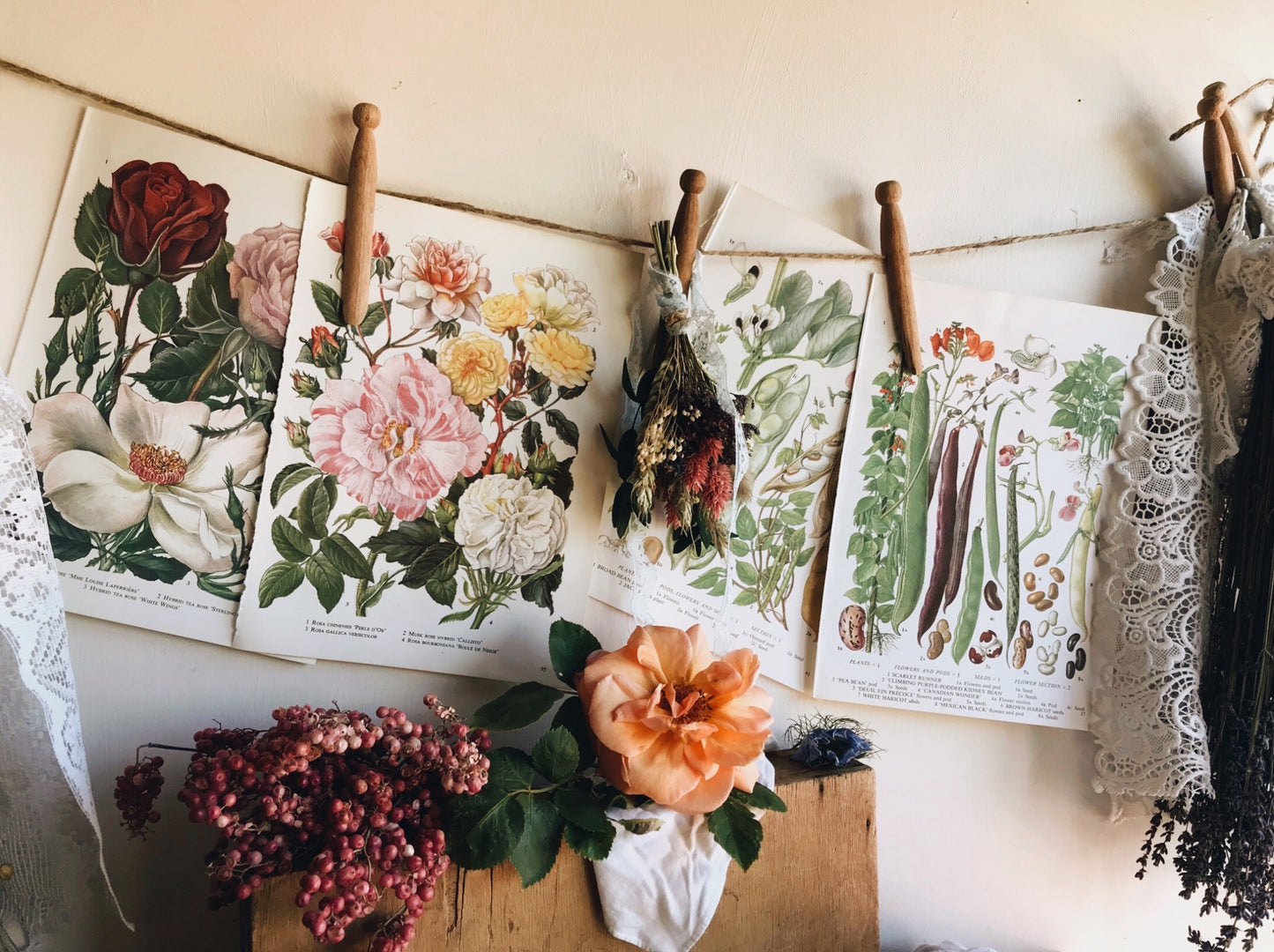 Two Vintage Rose Garden Bookplates