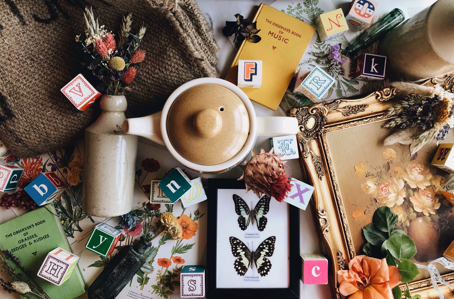 Two Taxidermy Butterflies Framed