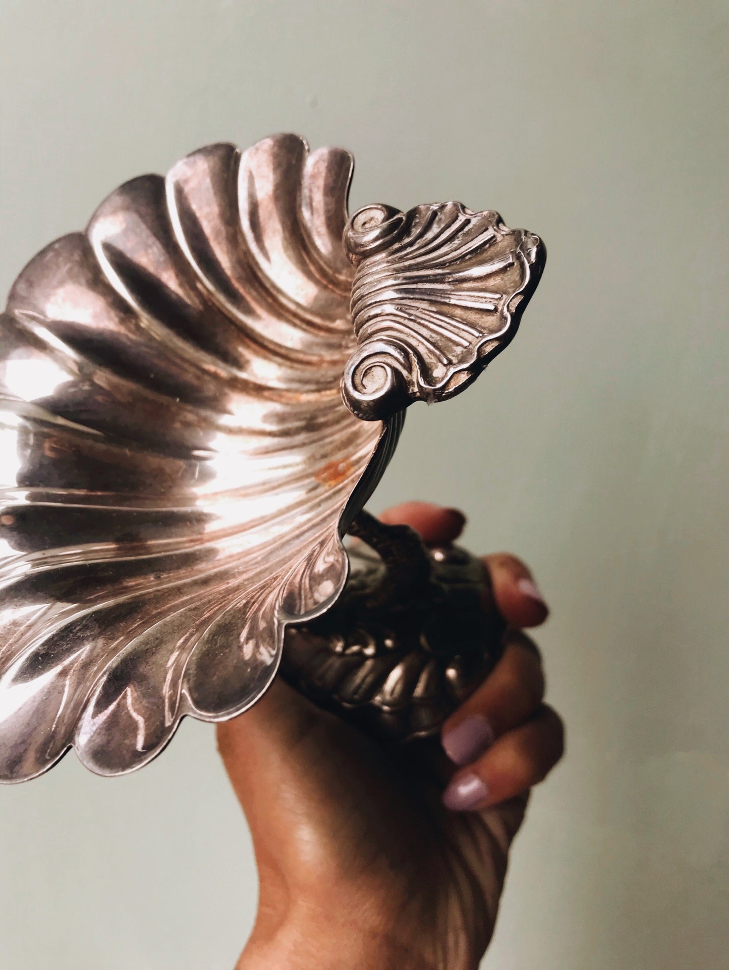 Antique Shell Dish