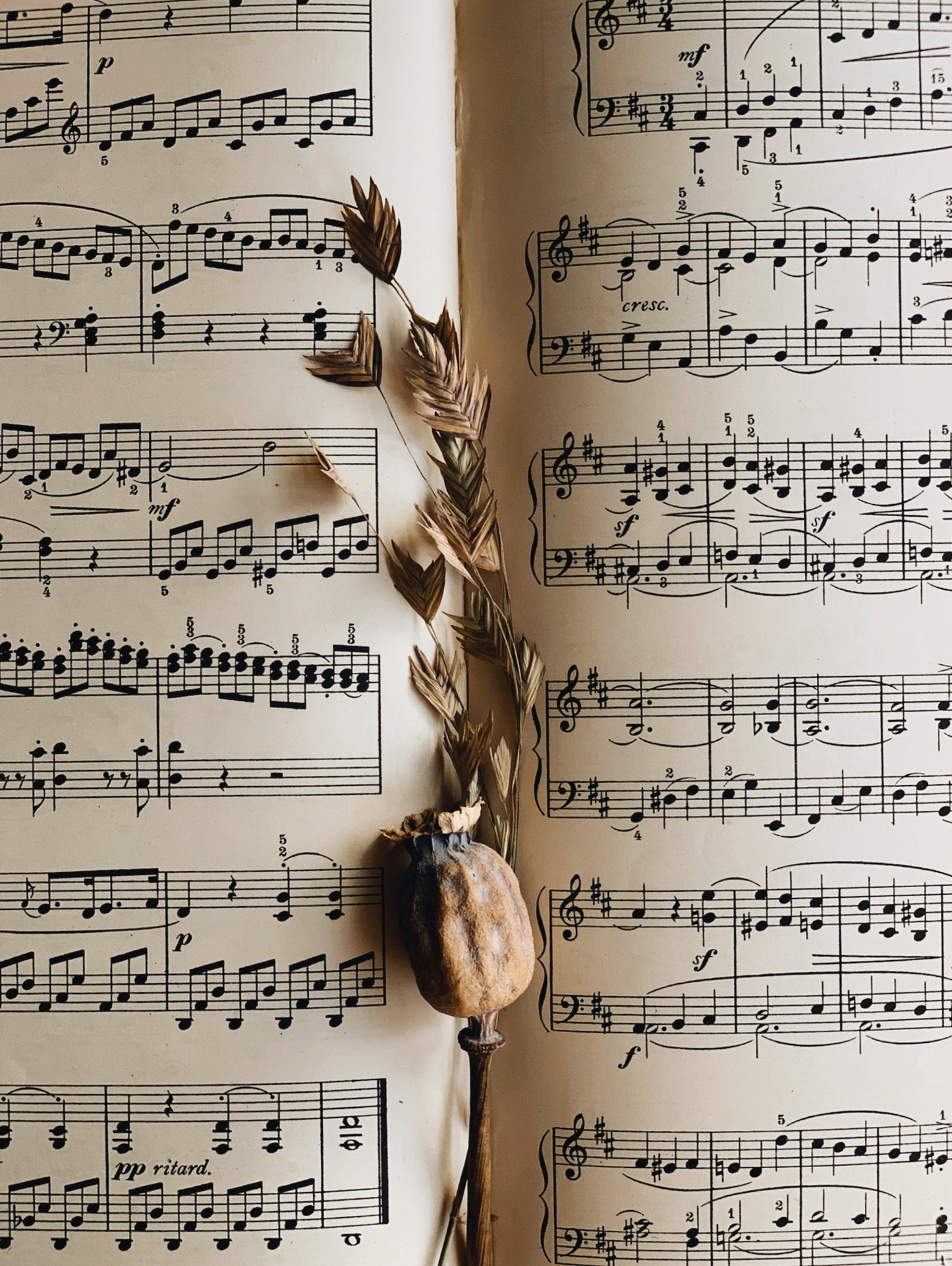 Antique Bonatas Book for the Piano 1907
