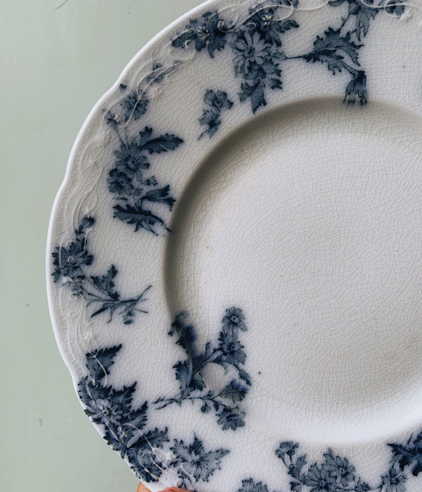 Antique Porcelain Ford Sandon Blue Floral Plate