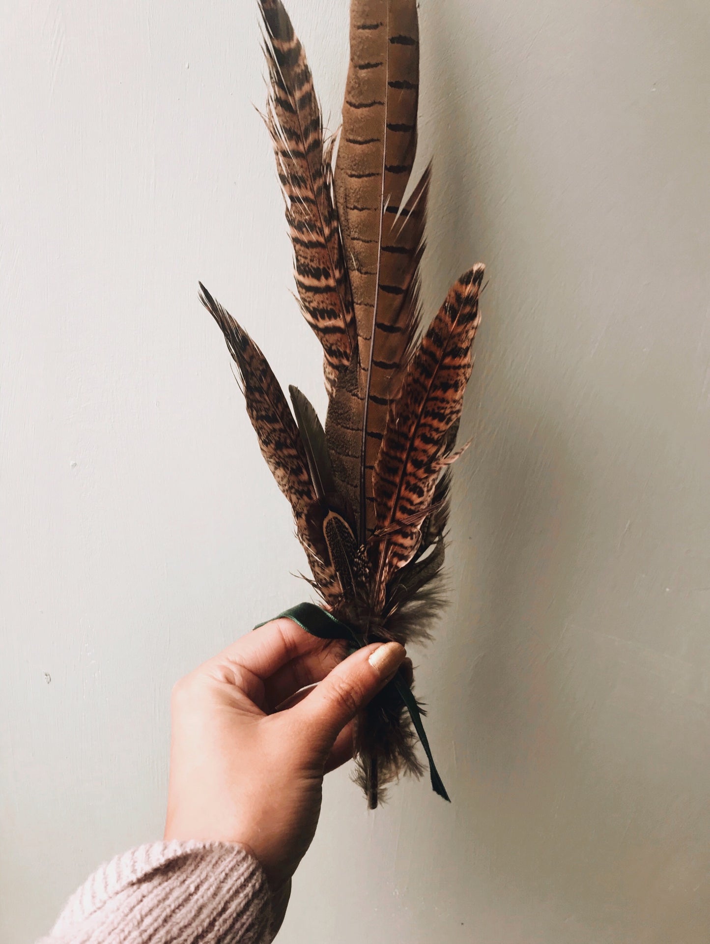 Pheasant Feathers - Stone & Sage