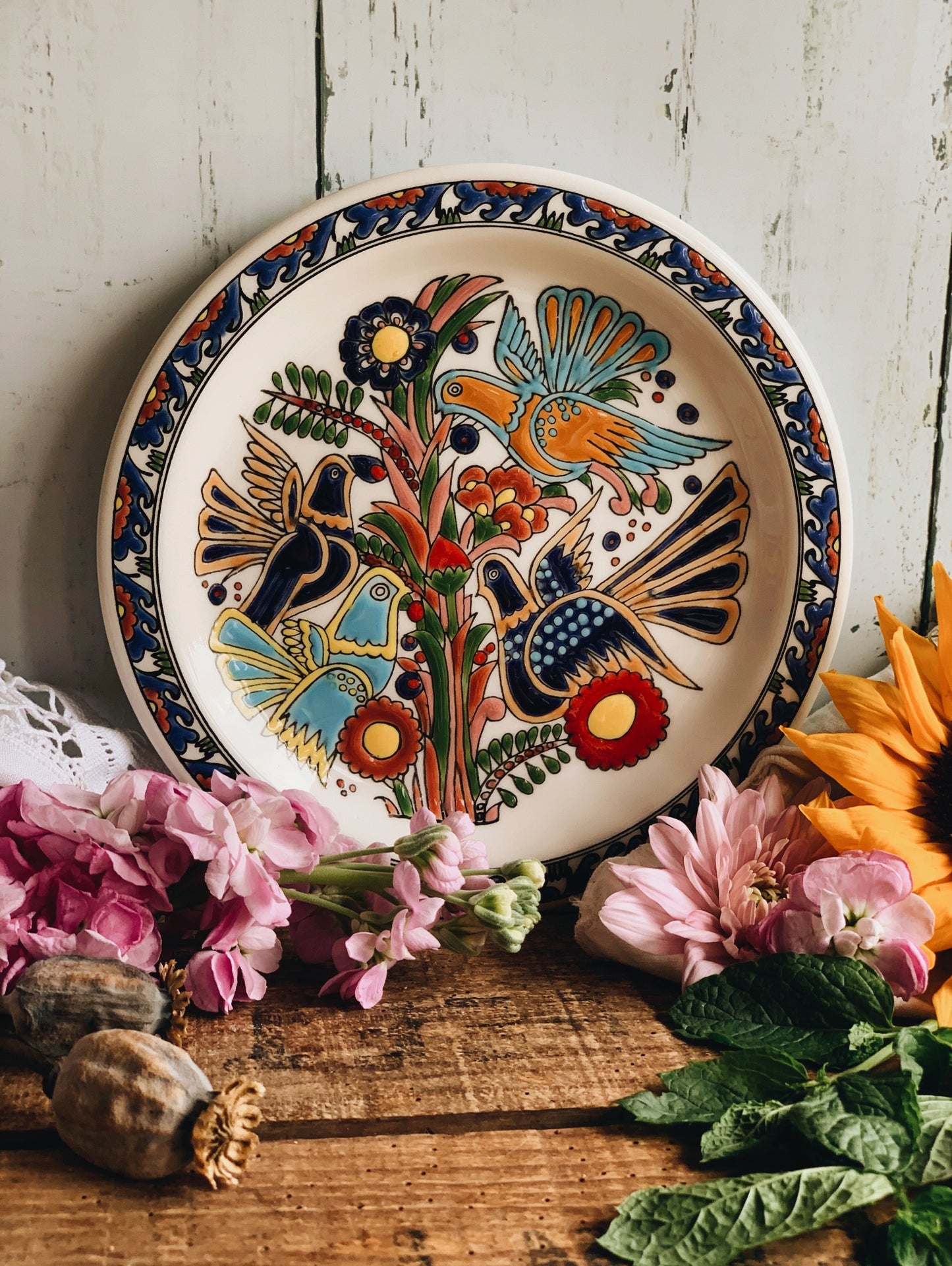 Vintage Colourful bird ~ hand painted wall plate
