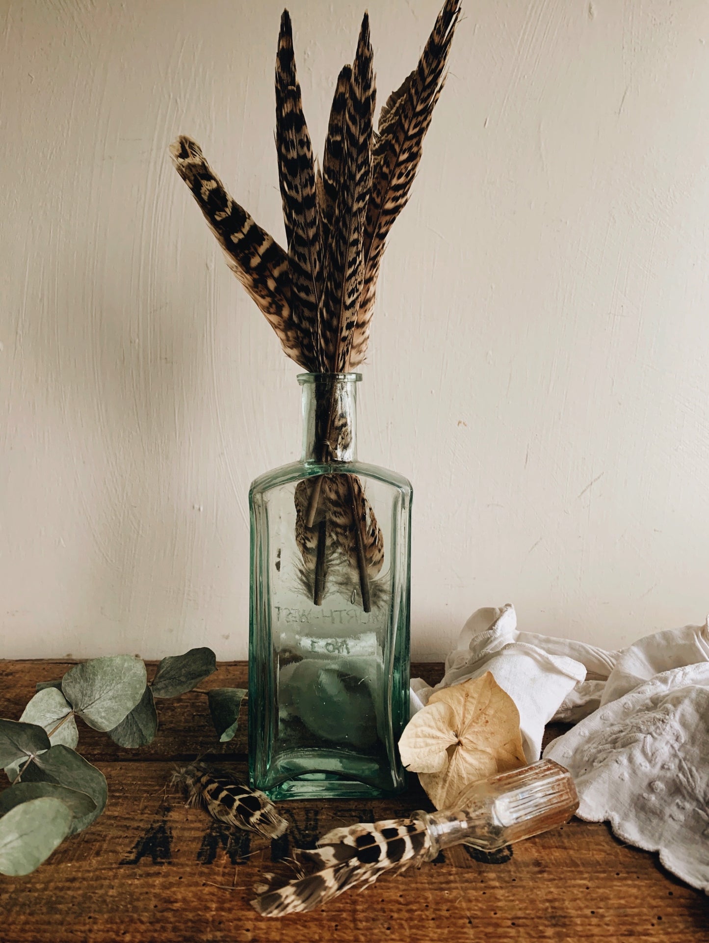 A Pair of Male & Female Pheasant Feathers