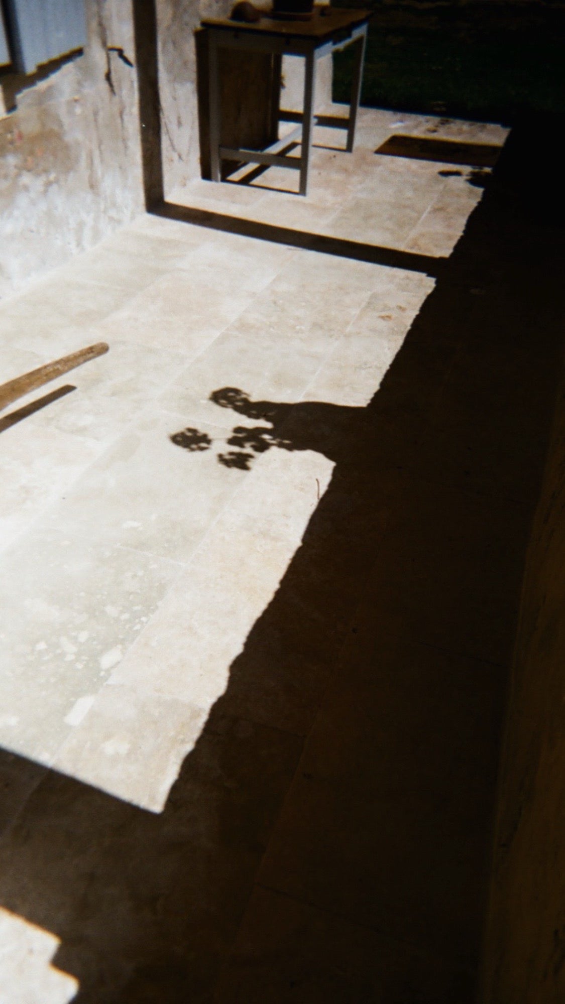 Film Photography 35mm