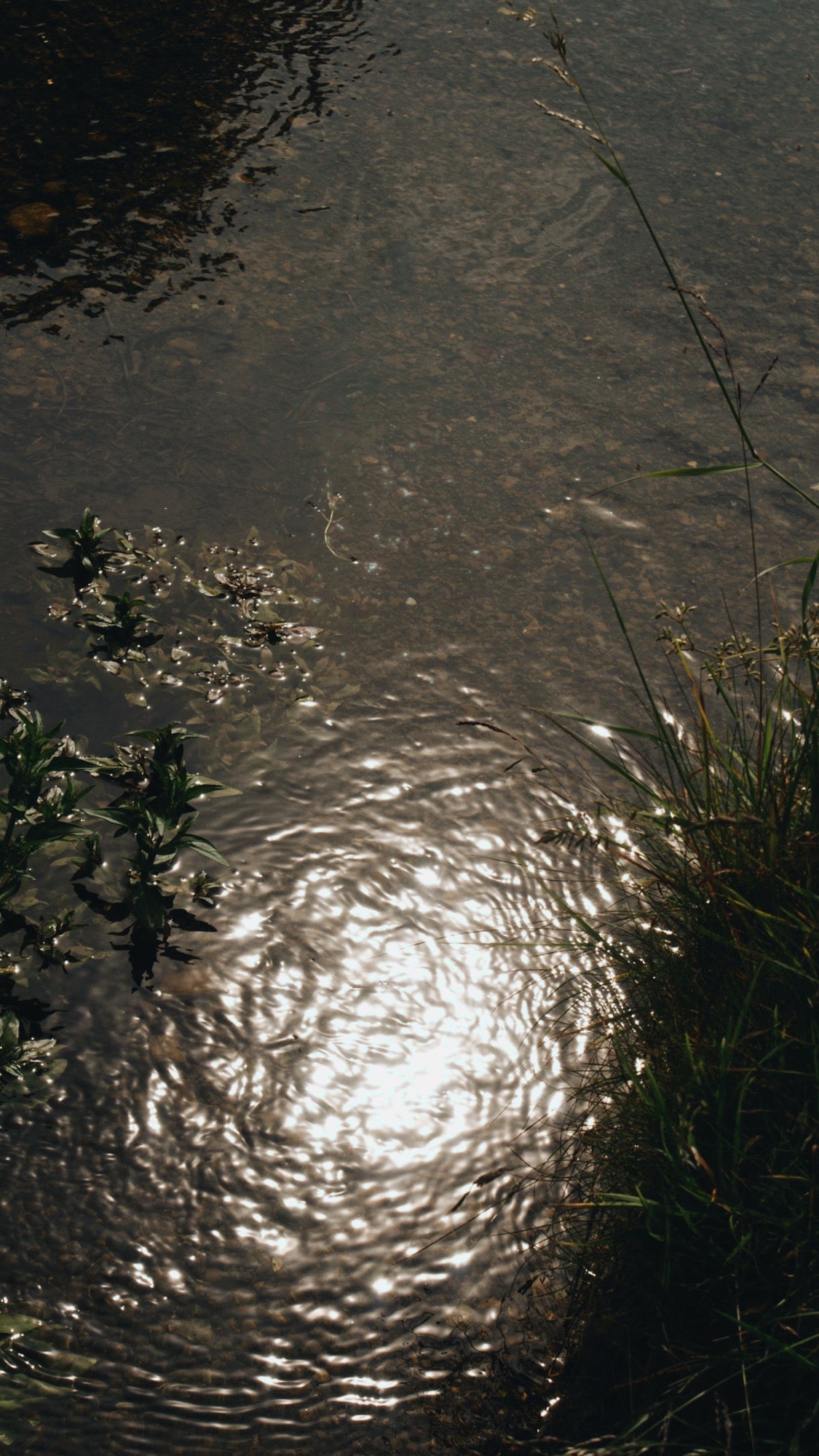 Film Photography 35mm