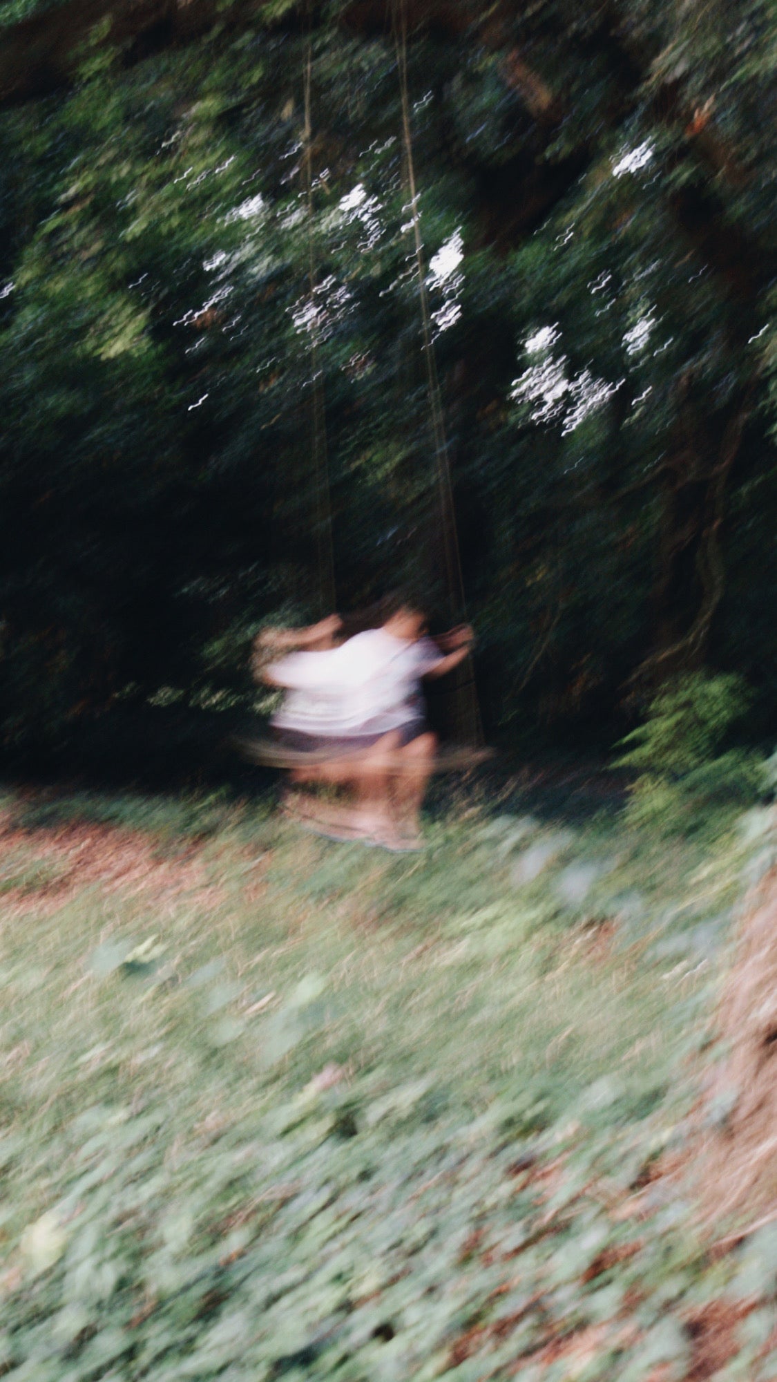 Film Photography 35mm