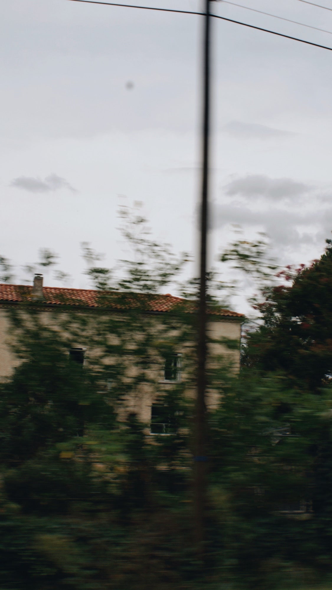 Film Photography 35mm