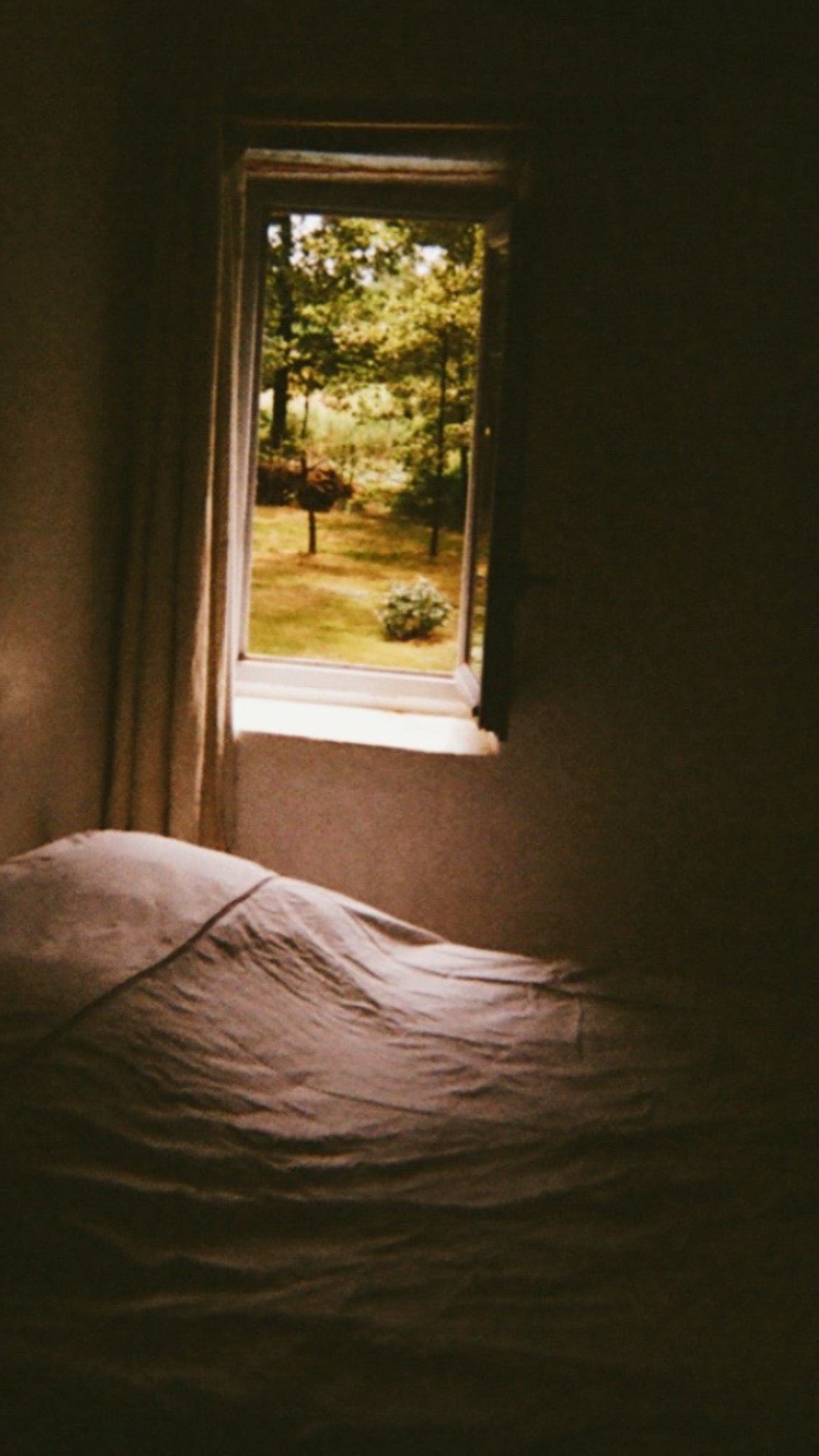 Film Photography 35mm