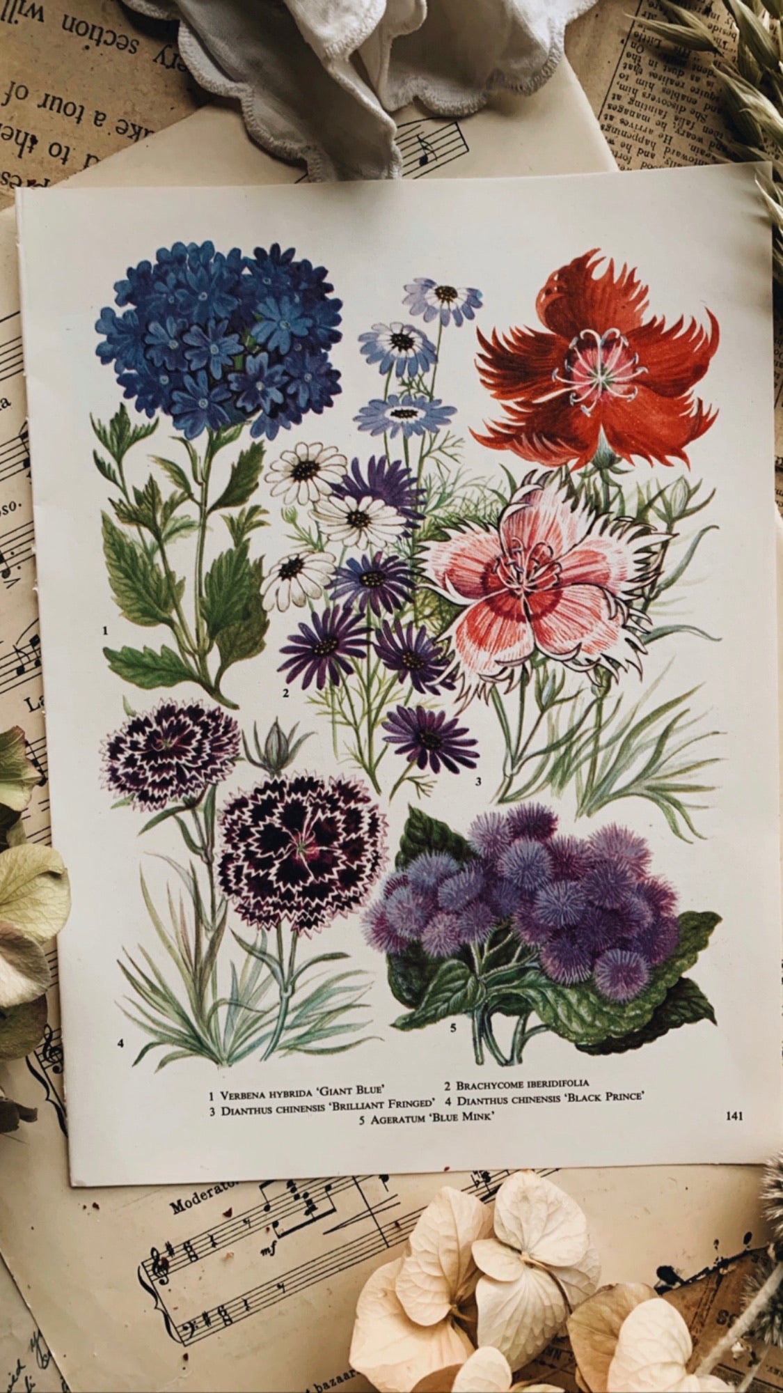 Vintage Floral Bookplates ~ 1960’s Garden Flowers