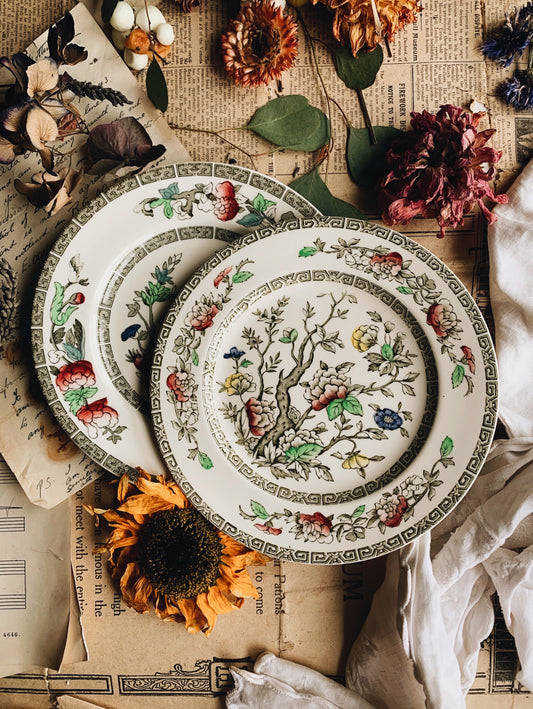 Vintage Floral Indian Tree Meakin Side Plates