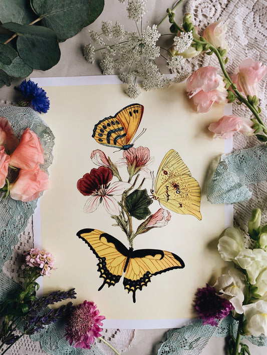 Vintage Style Butterfly Print