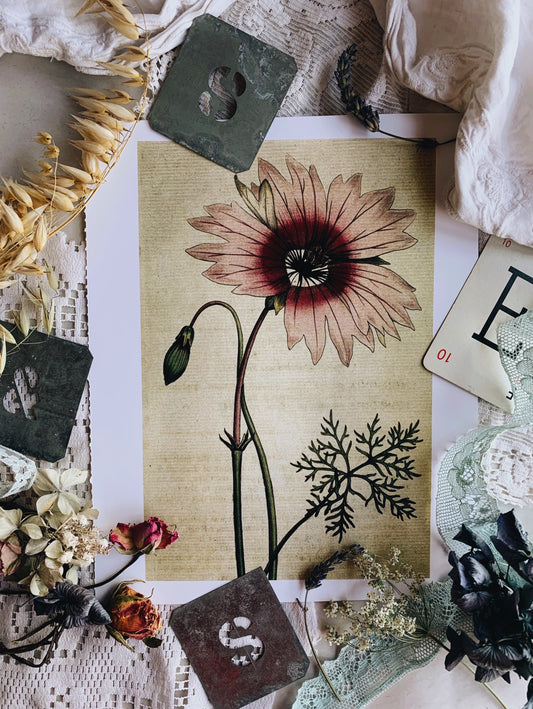 Vintage Style Floral Print