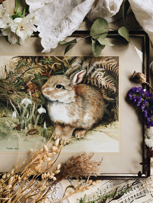 Large Vintage Elizabeth Walsh Rabbit Print Framed (UK SHIPPING ONLY)