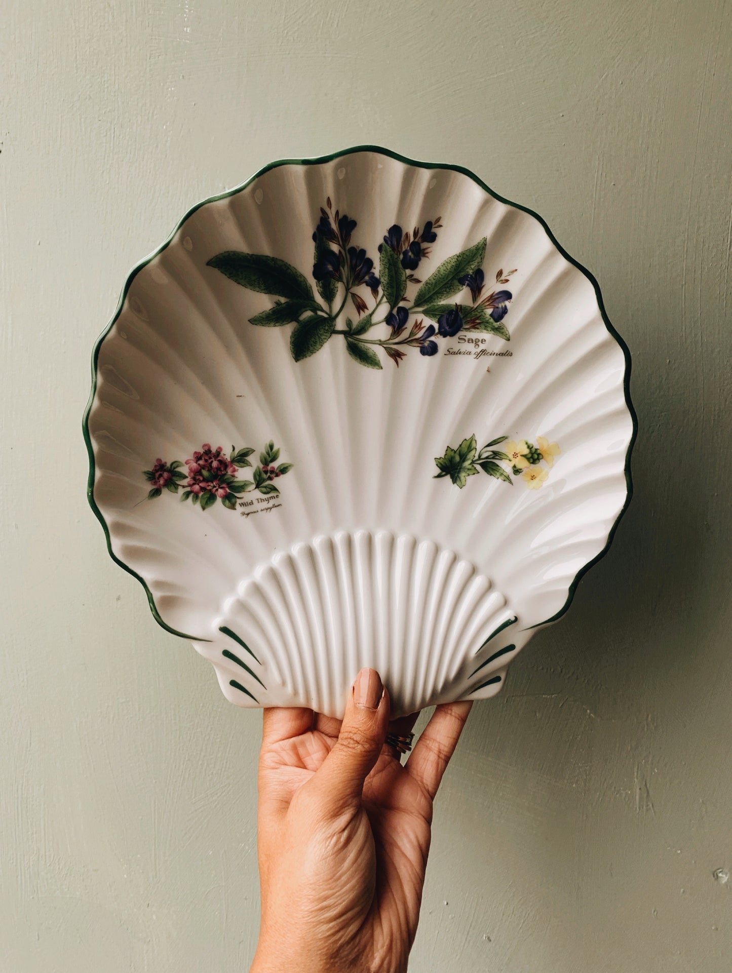 Vintage Worcester Herbs Clam Shell Dish (UK SHIPPING ONLY)