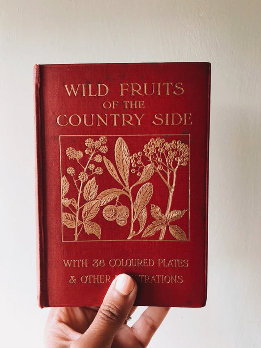 Antique Wild Fruits of the Country Side ~ early 1900’s