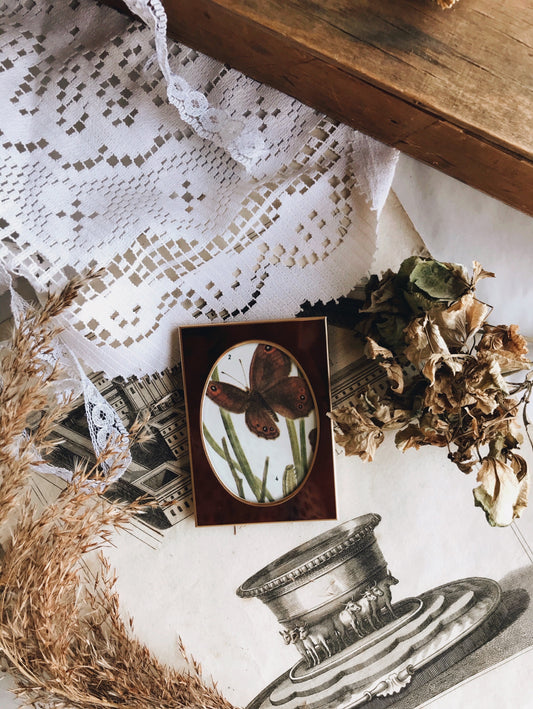 Vintage Butterfly Bookplate in Frame - Stone & Sage 