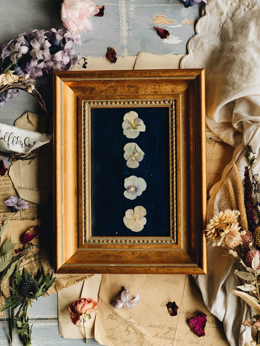Vintage Entomology Fabric Gilt Frame (excludes flowers)
