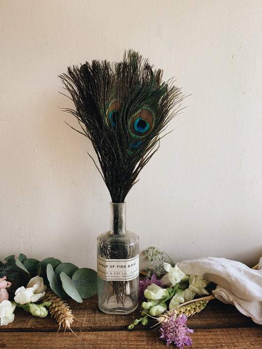 Peacock Feathers (sold separately)