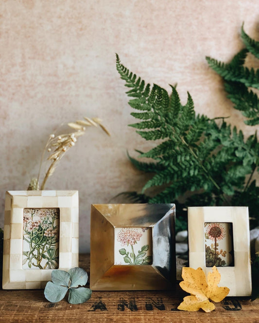 A Set of Three Frames with 1960’s Floral Bookplates