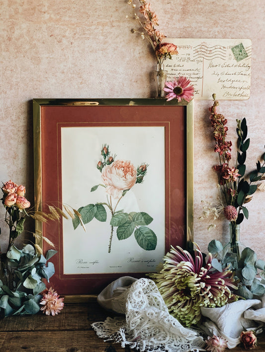 Vintage Rosa Print Framed (UK SHIPPING ONLY)