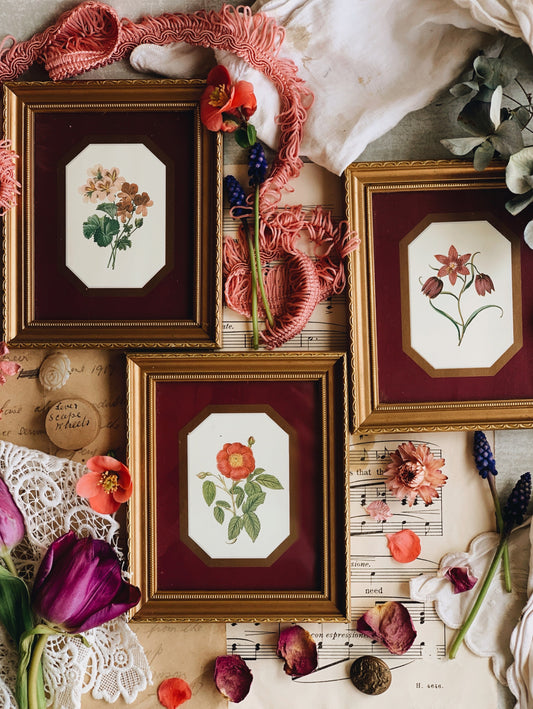 A Set of Three Vintage Floral Prints Framed