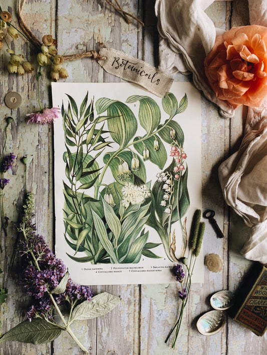 Vintage 1960’s Lily of the Valley Bookplate