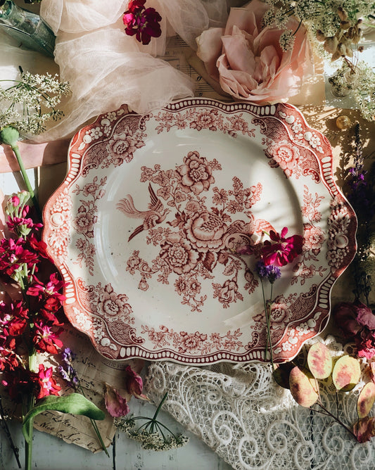 Antique Pink Crown Ironstone Plate