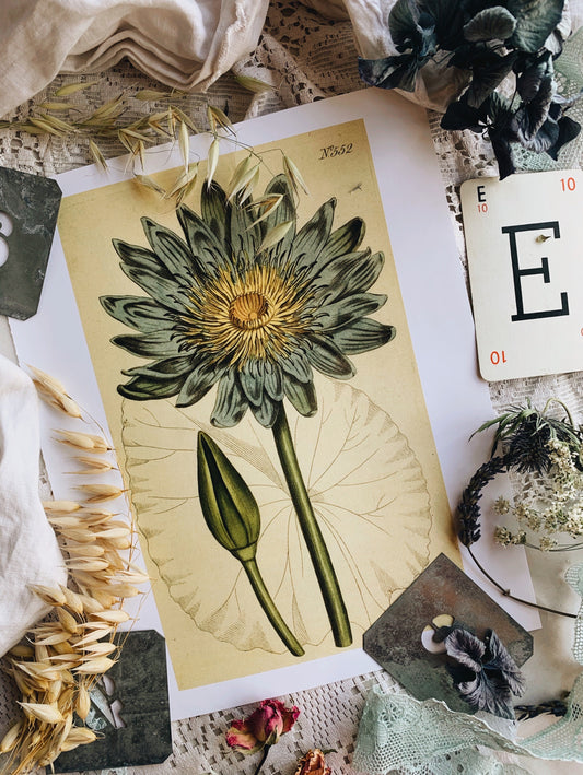 Vintage Style Floral Print