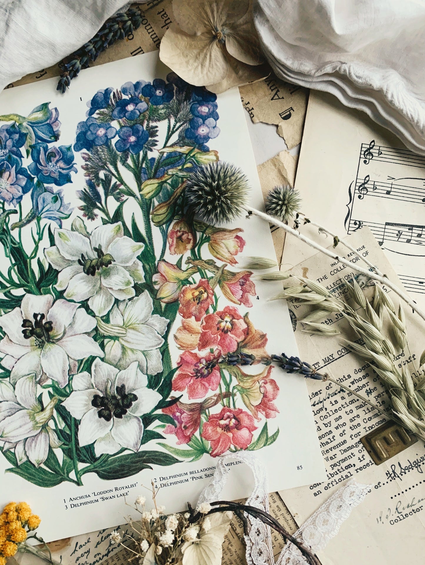 Vintage 1960’s Floral Bookplate ~ London Royalist