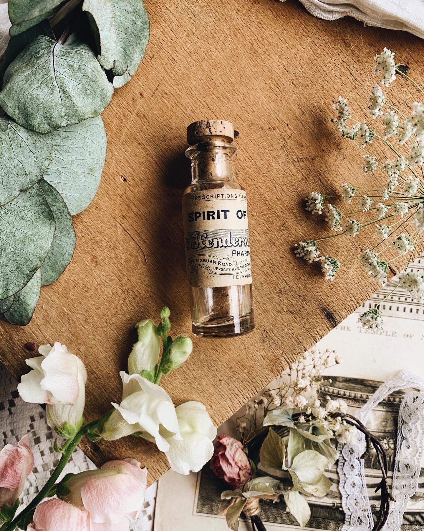 Antique Apothecary Spirit of Camphor Bottle ~  Medicine Label