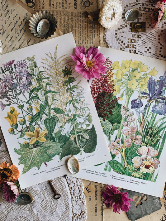 Two Vintage Floral Bookplates
