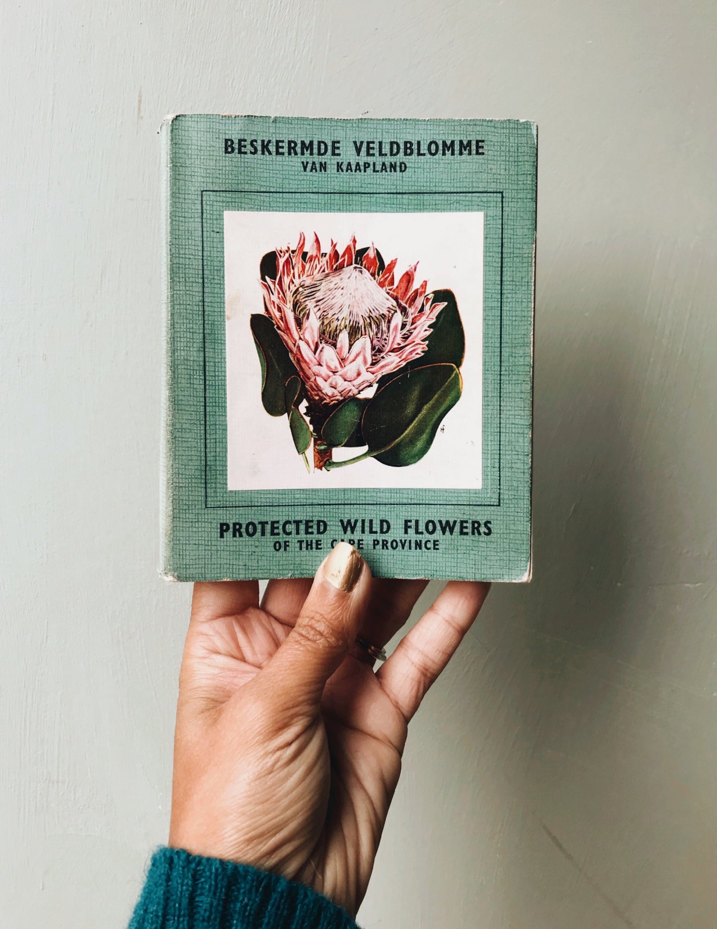 Vintage 1958 Protected Wild Flowers of the Cape Province Book
