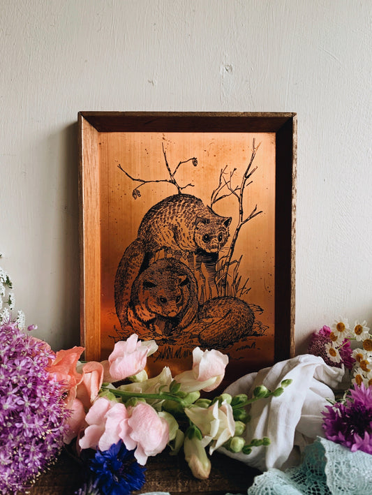 Vintage Dormouse Copper Etching Artwork