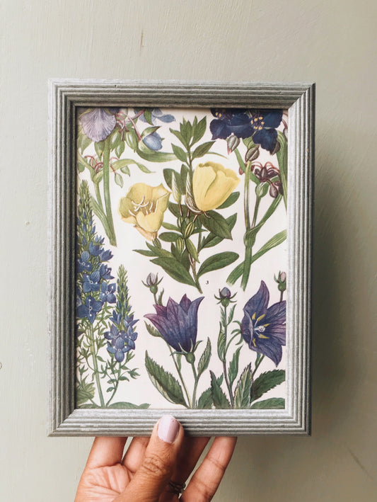 Vintage Royal Blue Floral Bookplate & Frame