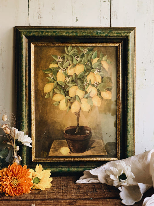 Vintage Lemon Tree Print Framed