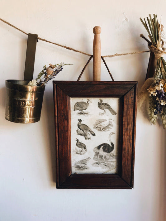 Antique Early 1900’s Glass Frame and Birds Variety Etching Bookplate