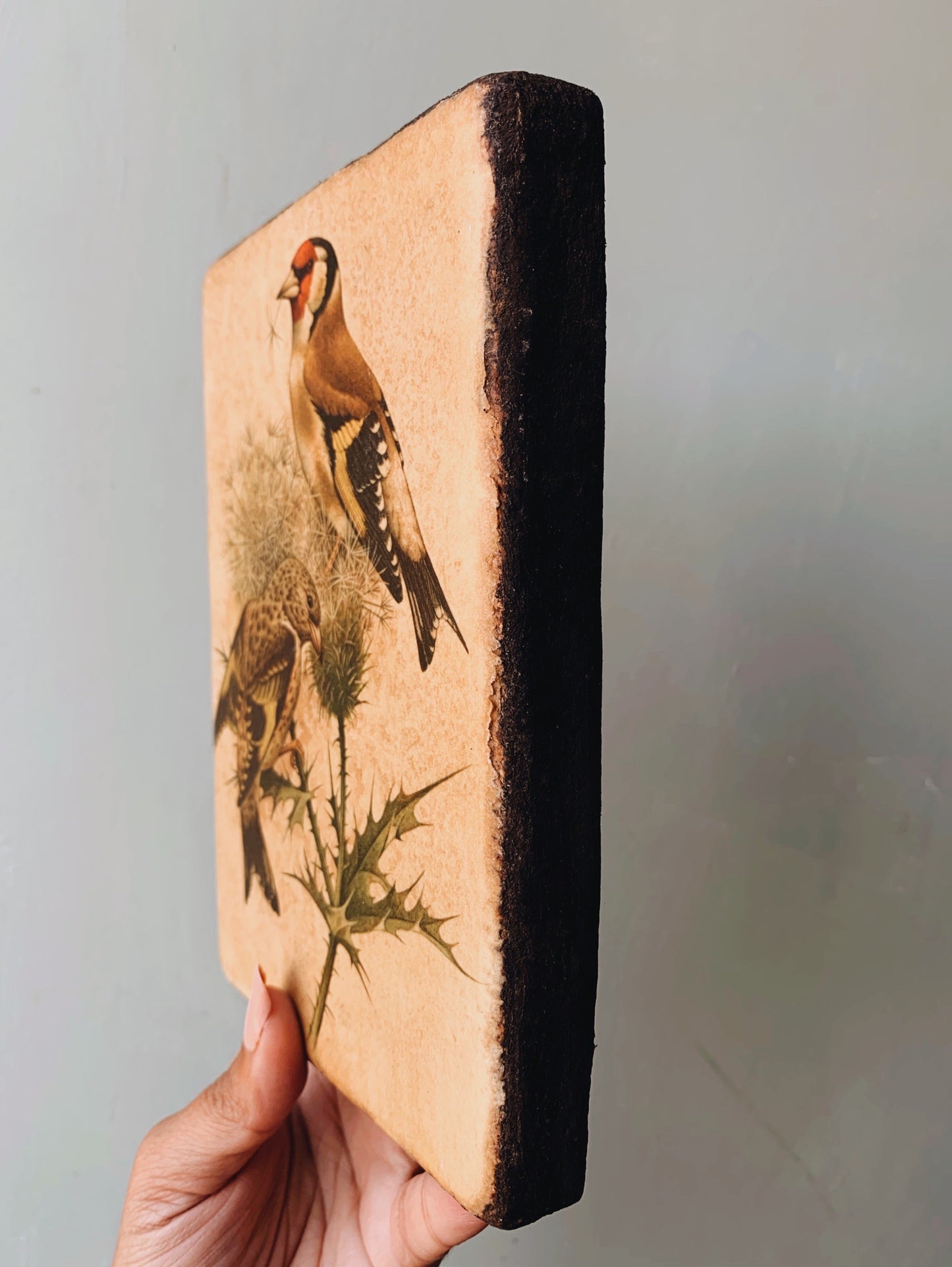 Vintage French Bird Cork Art