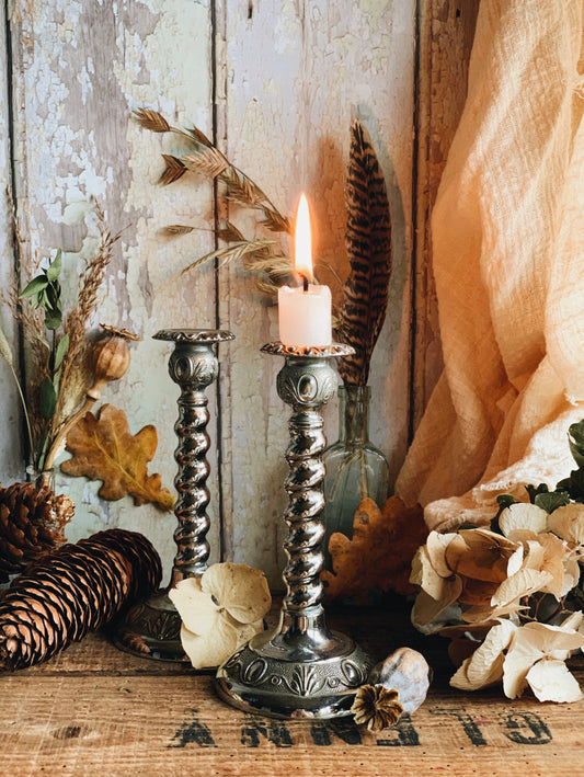 Vintage Silver Vine Candle Sticks